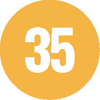 35 carreras online